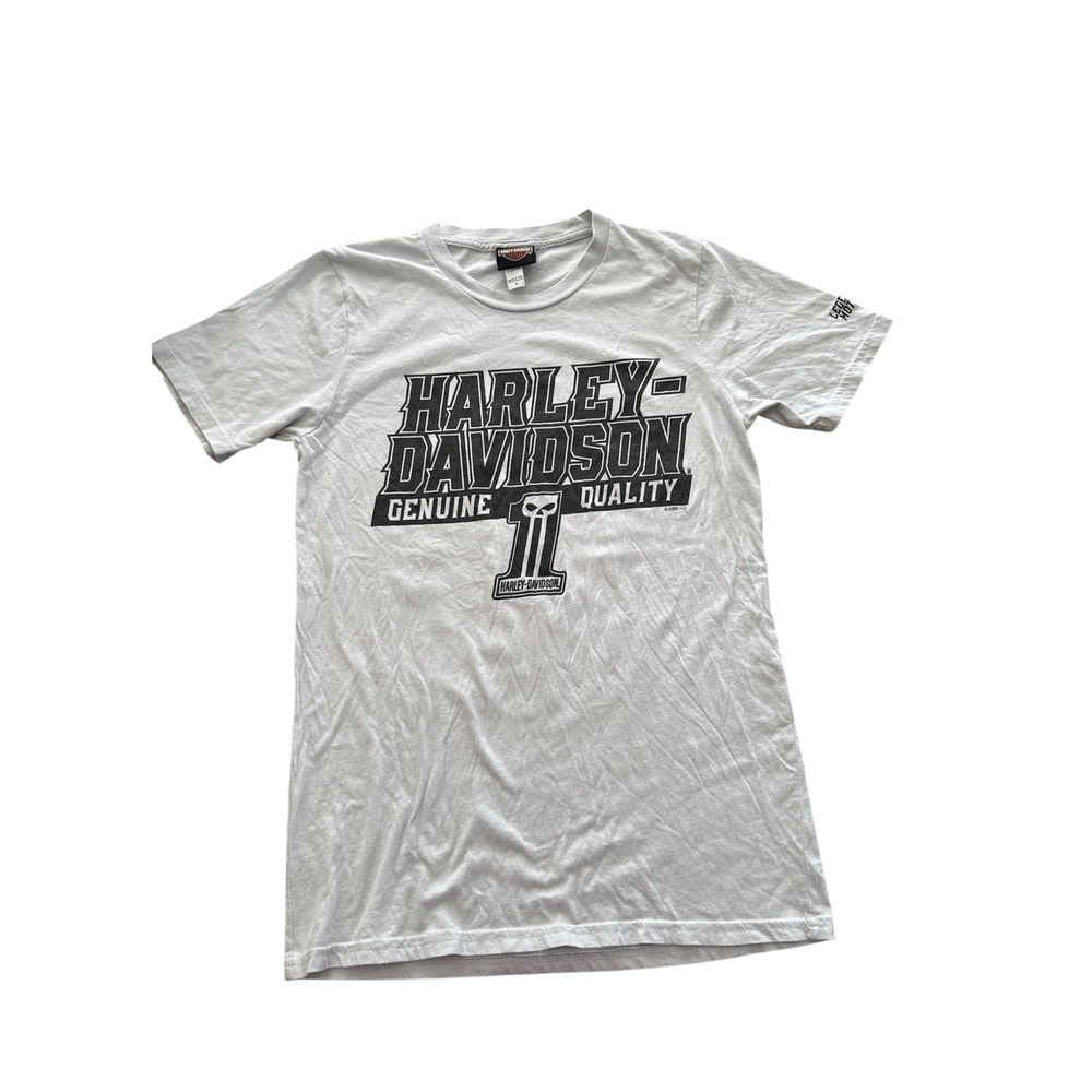 Harley-Davidson Avalanche Golden Colorado T-Rex Graphic T-Shirt Gray Small